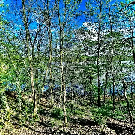 Stylisches See-studio Mit Badezugang & Garten Швиловзе