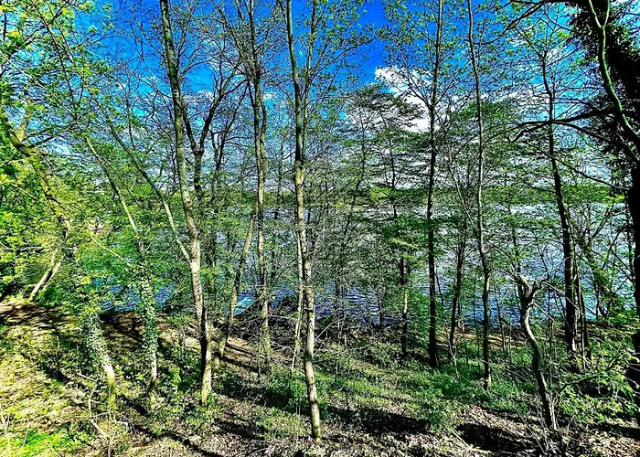 Stylisches See-studio Mit Badezugang & Garten 슈빌로브제